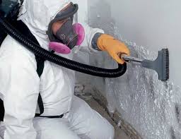 Why You Should Choose Our Mold Remediation Services in Walworth, WI